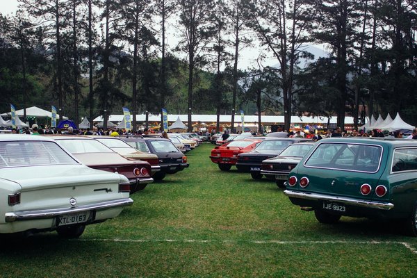 Top stylish wolford dresses for women and where to find them